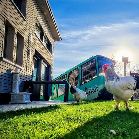 Exklusives Holzhaus Mit Bergbahn - Baden-Baden Im Schwarzwald Villa ภายนอก รูปภาพ