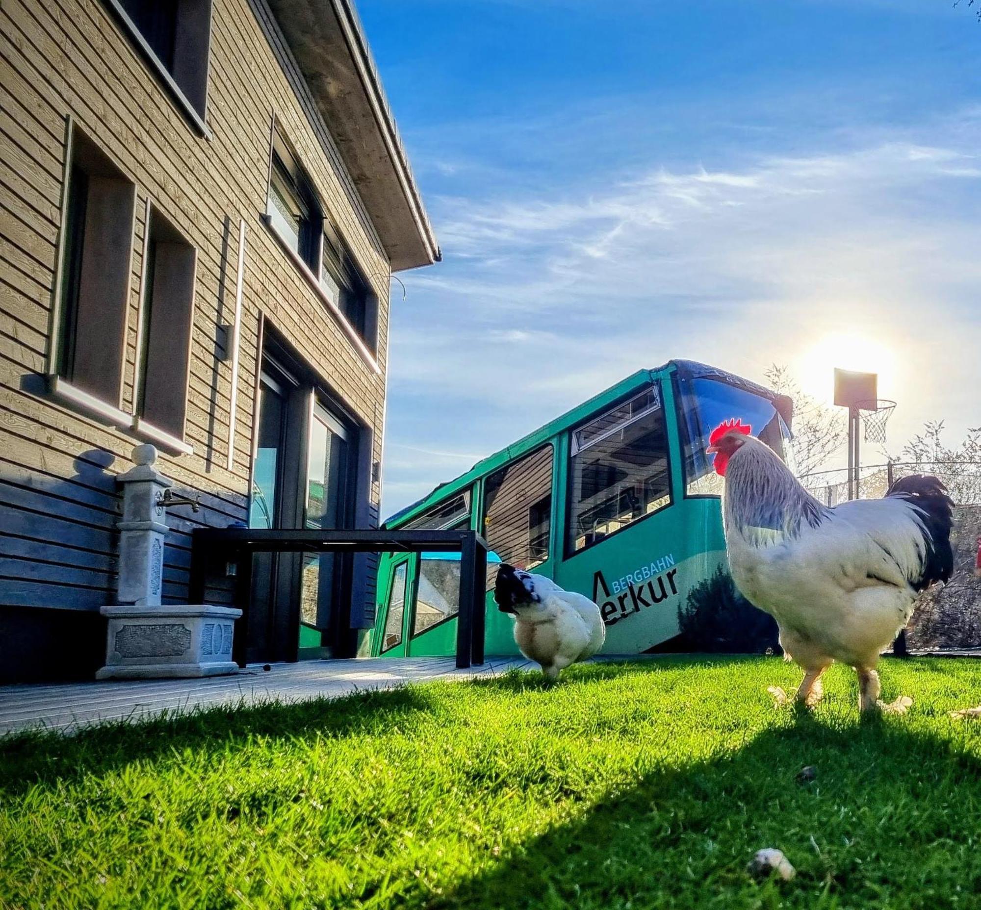 Exklusives Holzhaus Mit Bergbahn - Baden-Baden Im Schwarzwald Villa ภายนอก รูปภาพ
